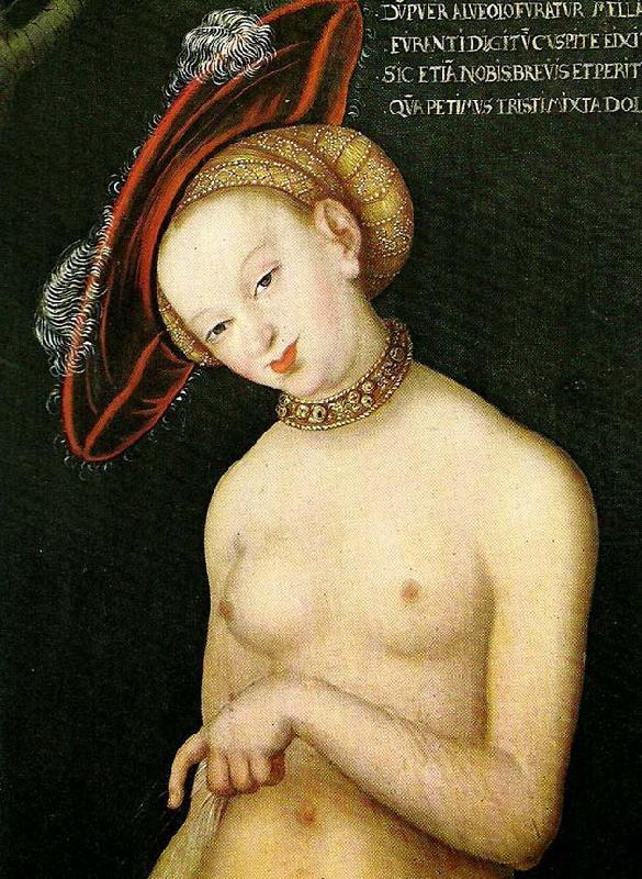 CRANACH, Lucas the Younger woman with a hat china oil painting image